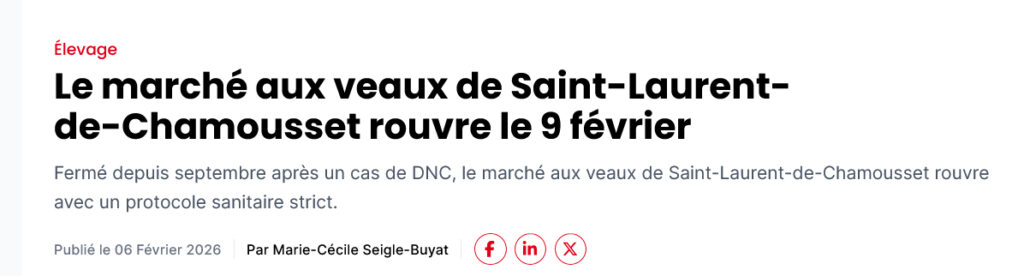 Aux Pierres Magiques - actualités - Paysans de la Loire : Le marché aux veaux à Saint Laurent de Chamousset @Marie-Cécile Seigle-Buyat